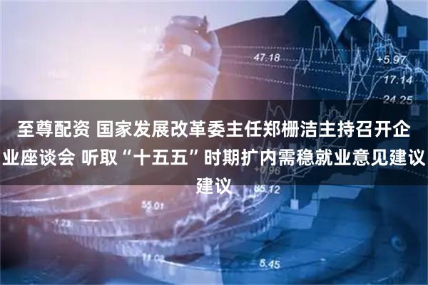 至尊配资 国家发展改革委主任郑栅洁主持召开企业座谈会 听取“十五五”时期扩内需稳就业意见建议