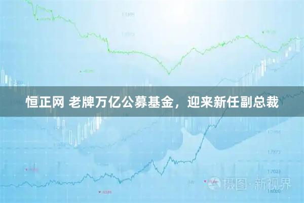 恒正网 老牌万亿公募基金，迎来新任副总裁