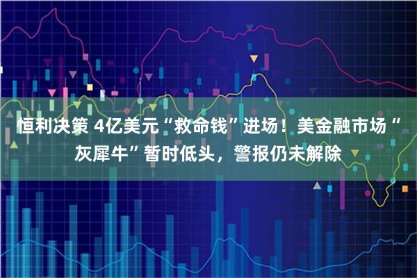 恒利决策 4亿美元“救命钱”进场！美金融市场“灰犀牛”暂时低头，警报仍未解除
